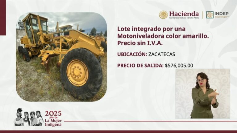 Obtienen 40 mdp en primera subasta del sexenio