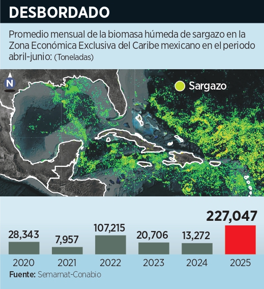 Pegan crimen y sargazo a turismo