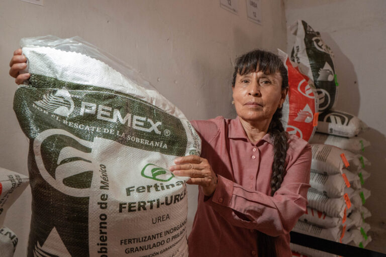 Reciben fertilizante gratuito más de 55 mil productores