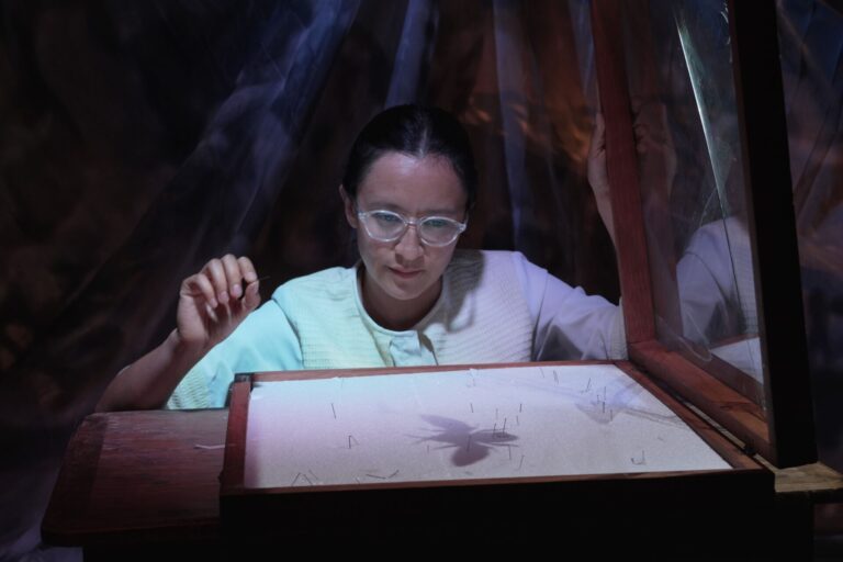Bióloga zacatecana coescribe obra teatral sobre insectos