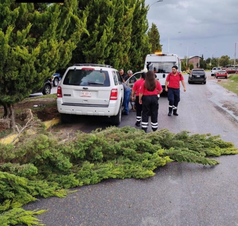 Accidente en Sain Alto deja daños materiales