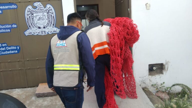 Recuperan tejido madres buscadoras