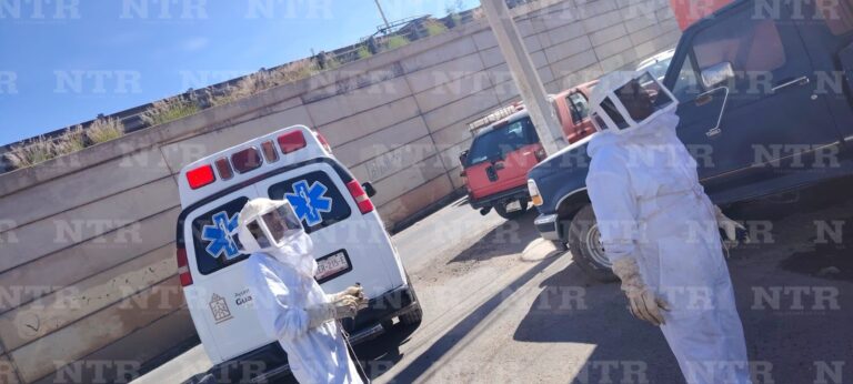 Abejas pican a hombre mientras podaba árbol