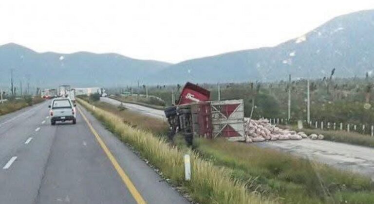 Camión de carga se voltea en Concha del Oro