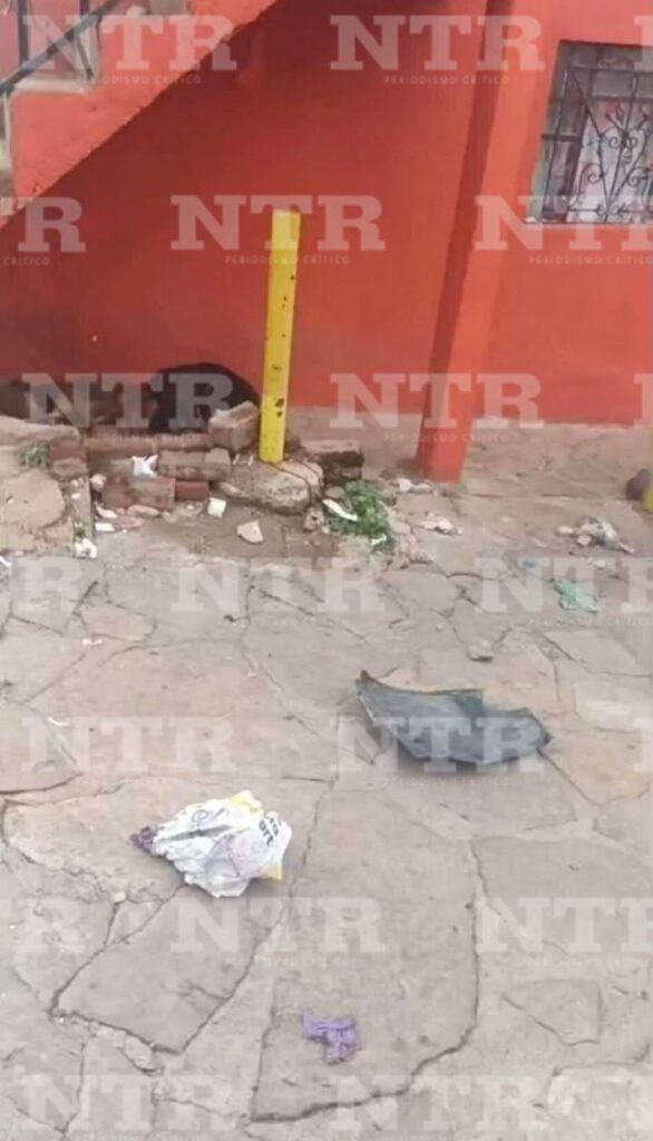 Preocupa a vecinos grupo de perros callejeros