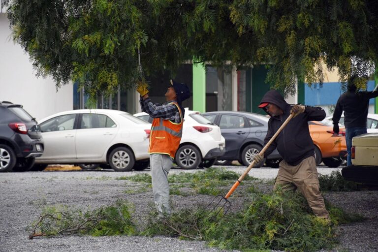Realiza Guadalupe limpieza constante en espacios públicos