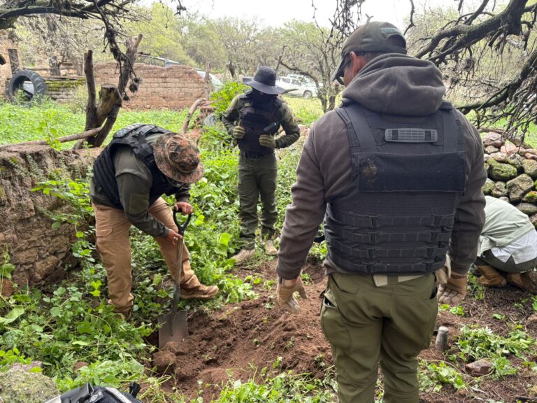 Realizan búsqueda forense en Cuauhtémoc y Luis Moya
