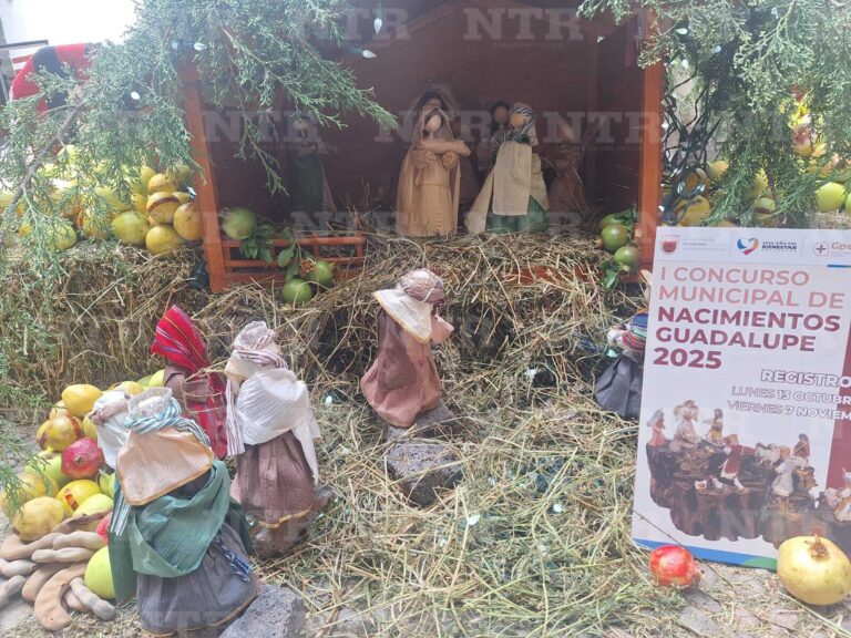 Participa en el concurso de nacimientos