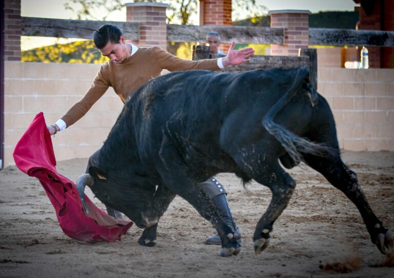 Bruno Aloi se prueba en el campo bravo
