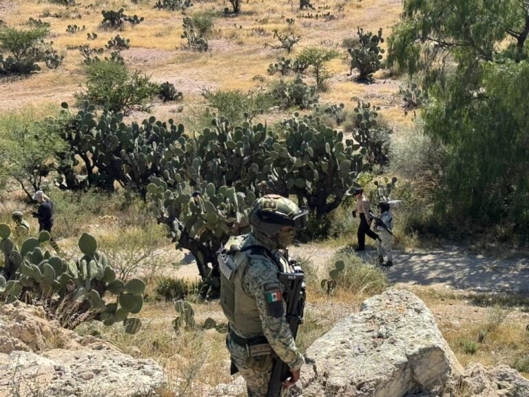 Continúan acciones de búsqueda en municipios