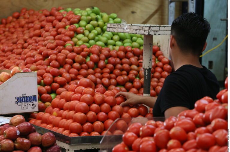 Celebran que Trump elimine arancel al tomate