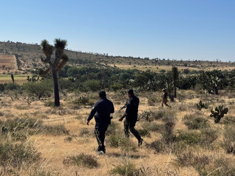 Reportan prospección forense positiva en Guadalupe