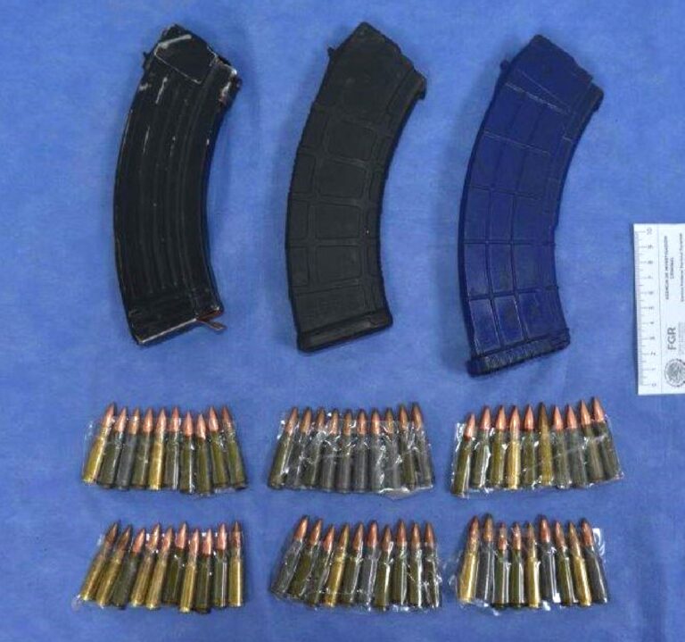 Vincula FGR a 14 por portación de armas
