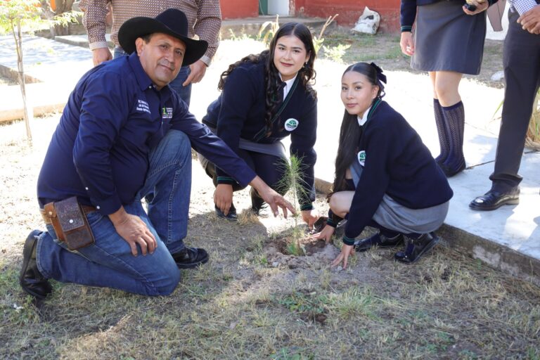 Reforestan Los Haro con 80 pinos
