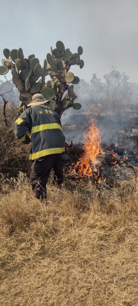 Se adelanta temporada de incendios forestales