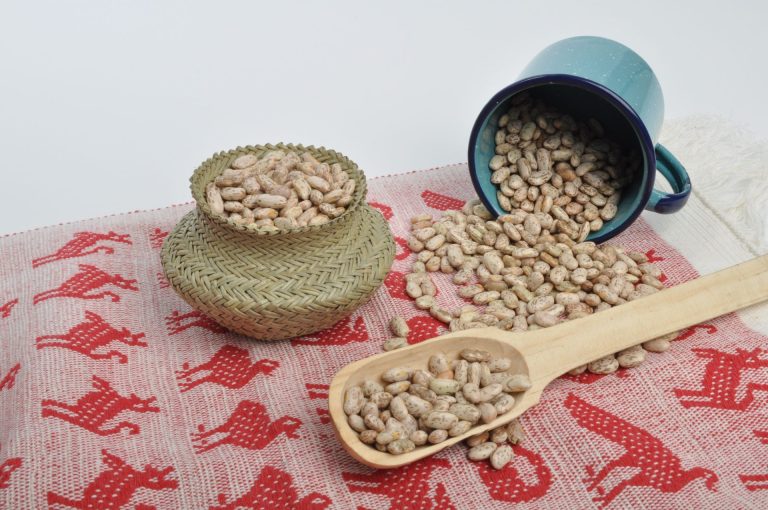 Disminuye 50% consumo de frijol