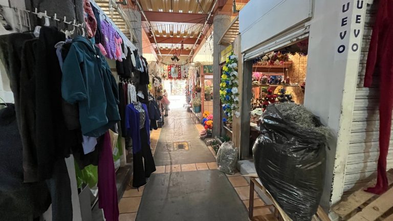 Morosidad en el Mercado Hidalgo frena mejoras