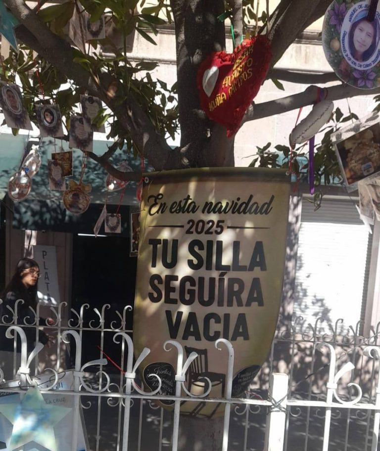 “Esta Navidad, su silla quedará vacía”