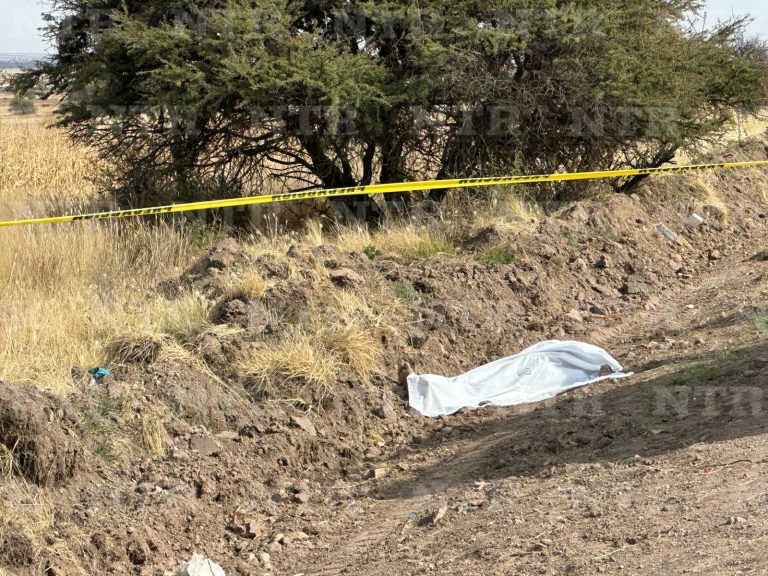 Atropellan a hombre en situación de calle; murió en el lugar