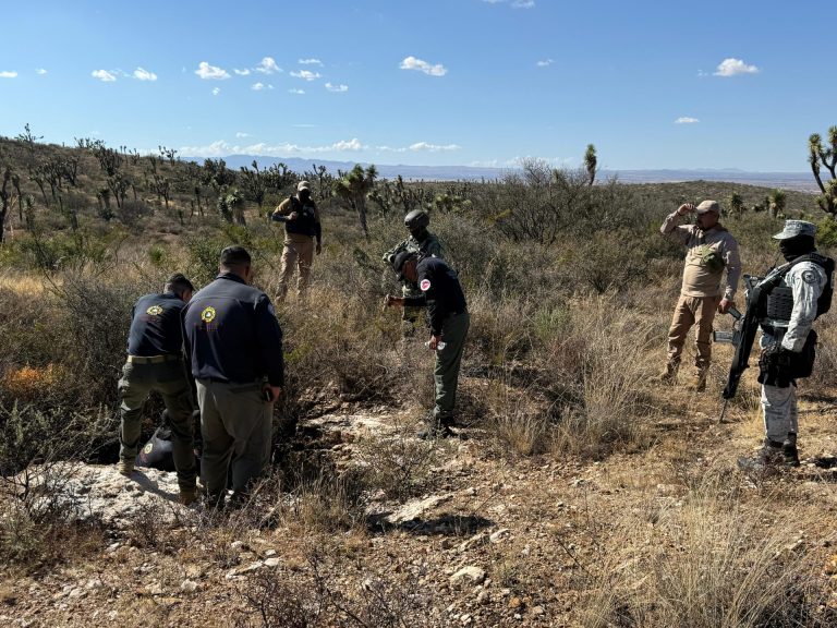 Llevan a cabo trabajos de búsqueda en Guadalupe