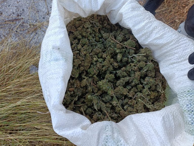 Guardia Nacional asegura droga en Mezquital del Oro