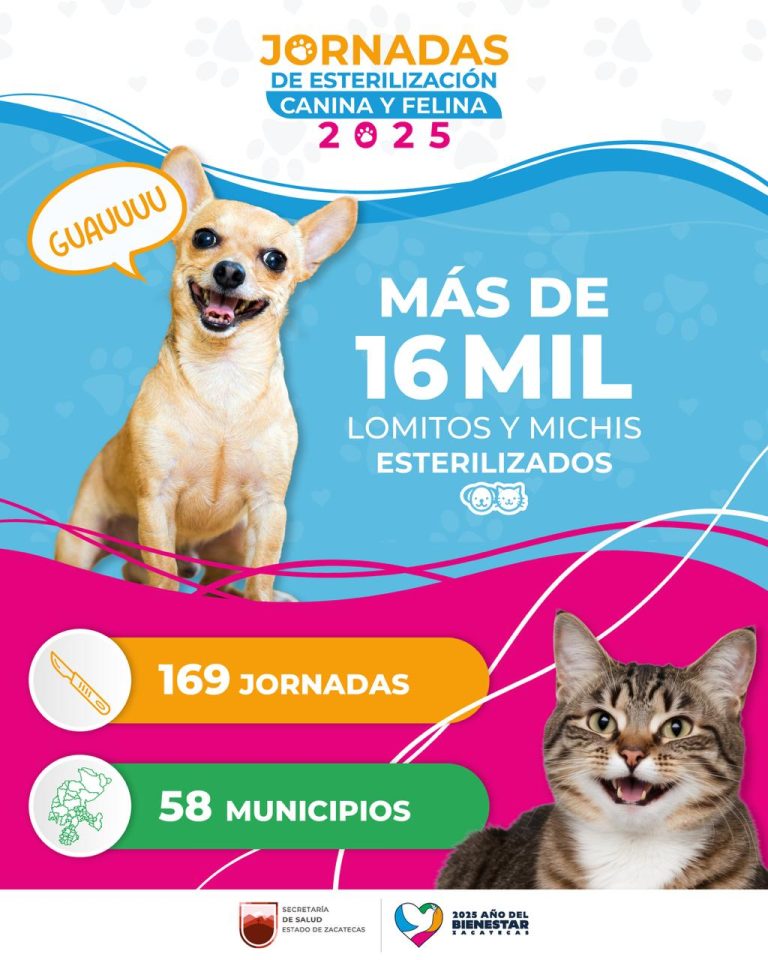 Realizan 169 jornadas de esterilización durante 2025