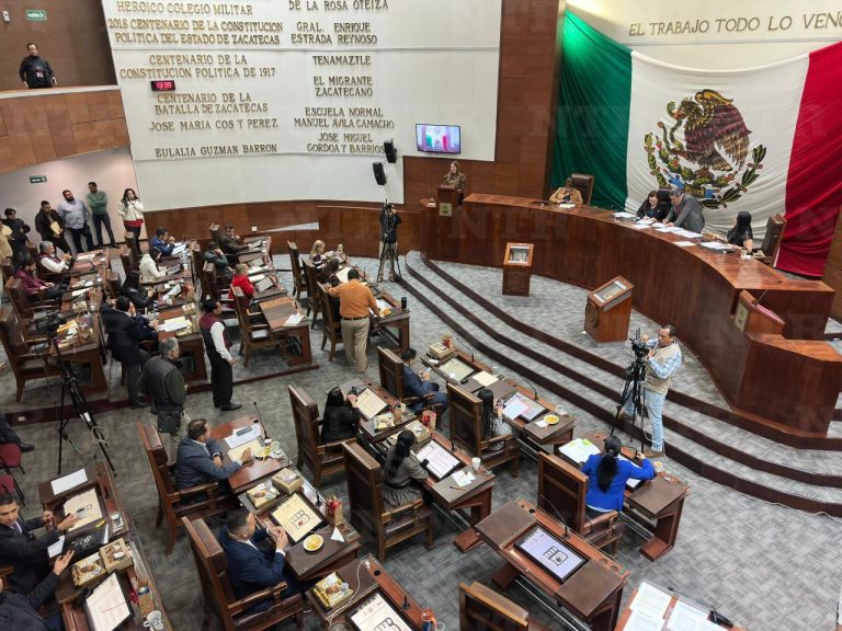 Acopio de frijol es un desafío estructural: diputada