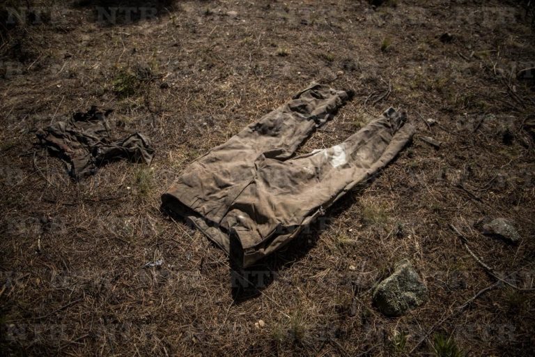 Hallan restos óseos en Sierra de Valparaíso