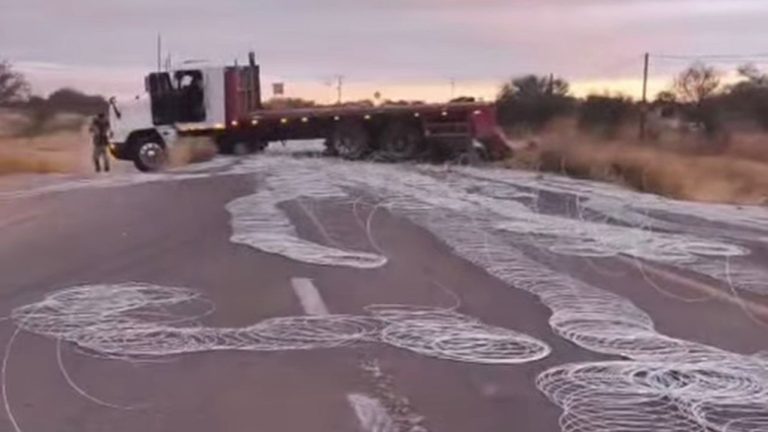 Se accidenta tráiler en la federal 45