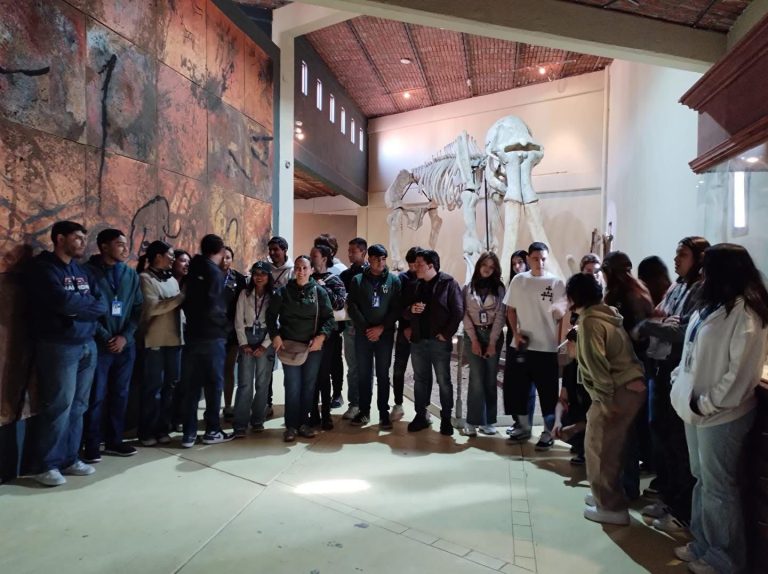 Llegan pinturas inéditas al Museo Virreinal