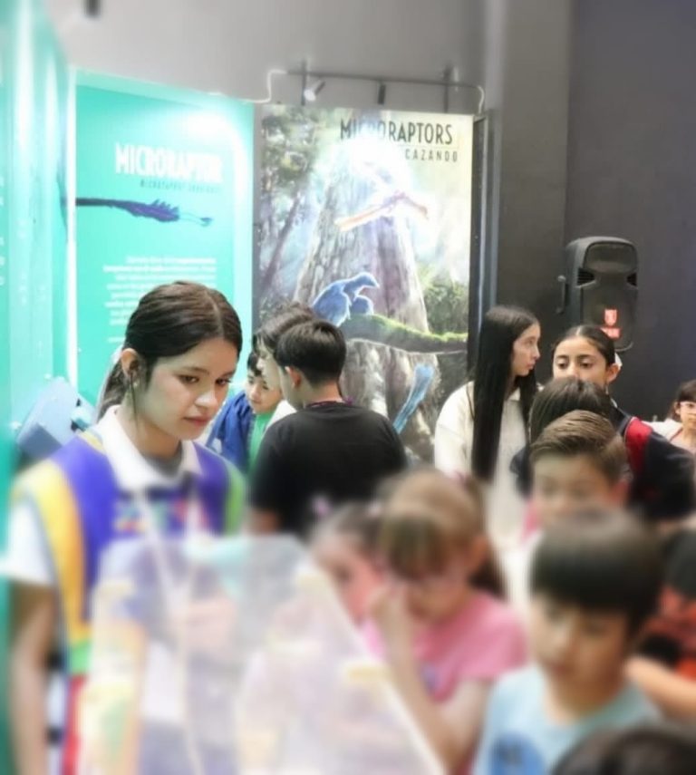 Ofrece Zigzag talleres sobre paleontología, biología, arte y geología