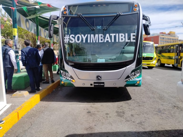 Platabús, inviable a mediano plazo
