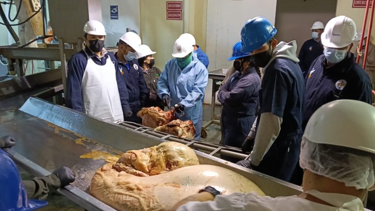 Aumenta 15% los sacrificios en el rastro