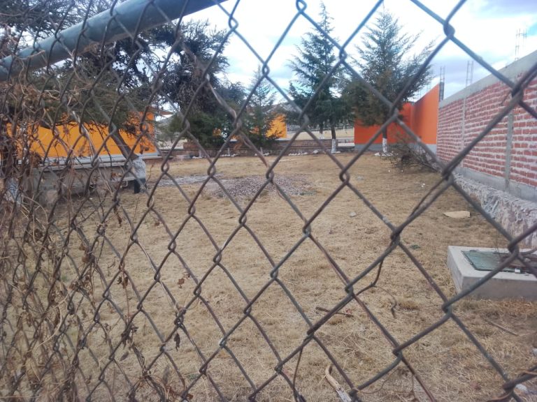 Cumplen 5 años sin clases porque la directora es regidora