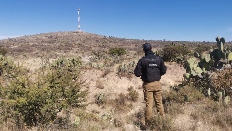 Localizan a dos hombres sin vida en Pinos