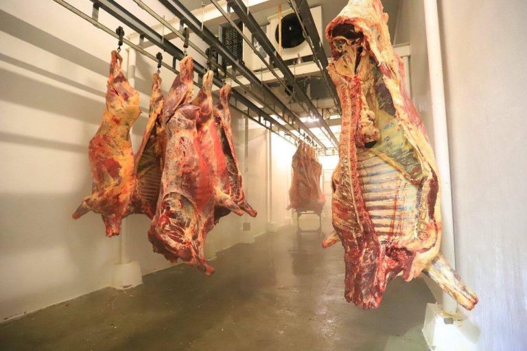 Aplican medidas por clembuterol en carne consumida en Jalpa