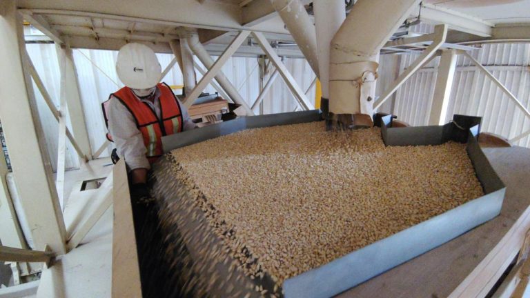 Ofrecen en Calera servicios a productores de frijol