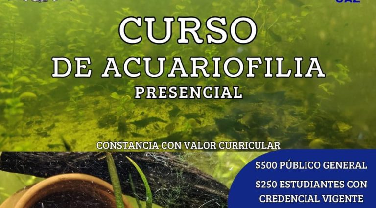 Invitan a curso de acuariofilia en la UAZ
