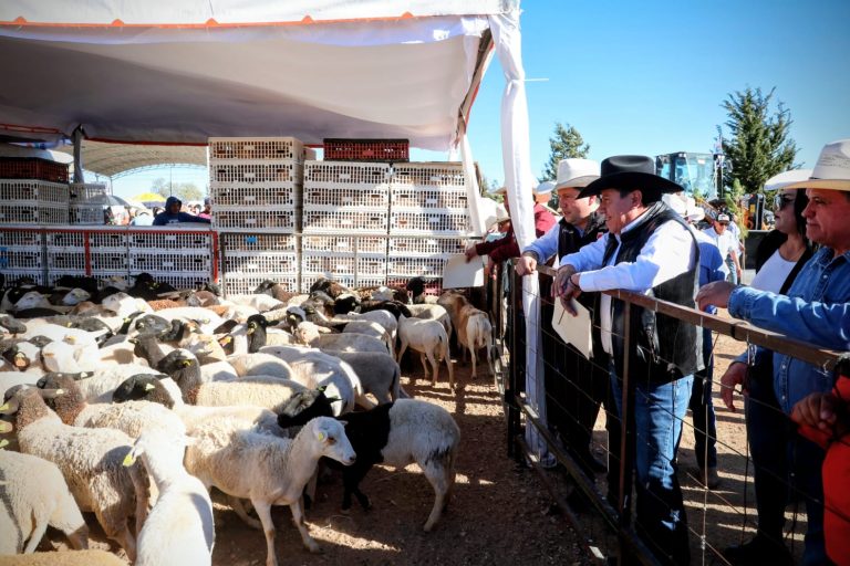 Entregan maquinaria y apoyos en Plateros