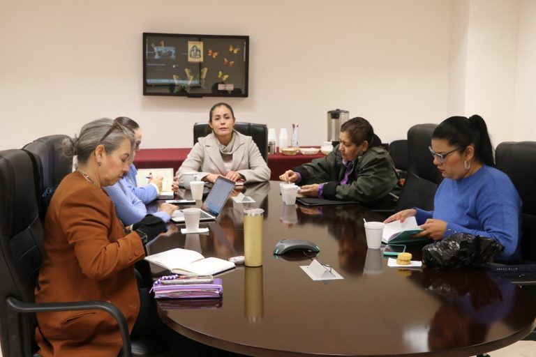 CDHEZ coordina acciones para la marcha del 8M