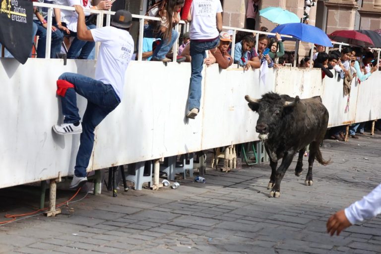 Reportan saldo blanco en la Jerezada 2026