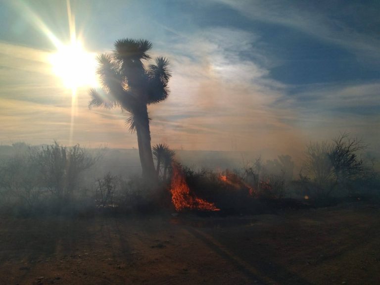 Registra Villa de Cos fin de semana de incendios