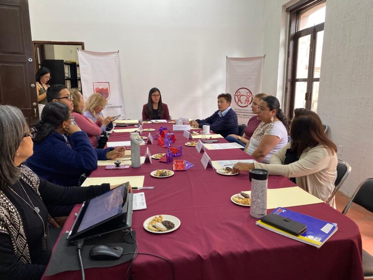 Elige SIPINNA nueva coordinadora del Consejo Consultivo