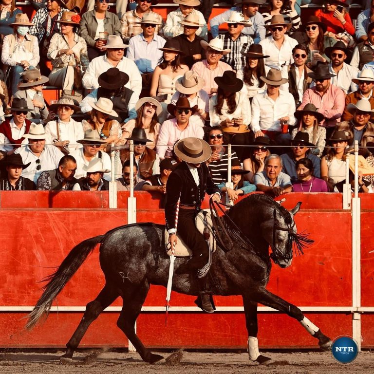 Feria Toro asume la organización de la Tarde de Rejoneo del Festival Ibérico en Val’Quirico
