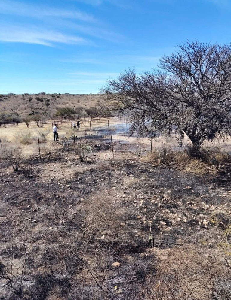 Incendio consume 60 hectáreas de pastizal