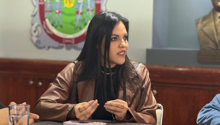 Iniciativa para endurecer penas por delitos sexules no es nueva: diputada