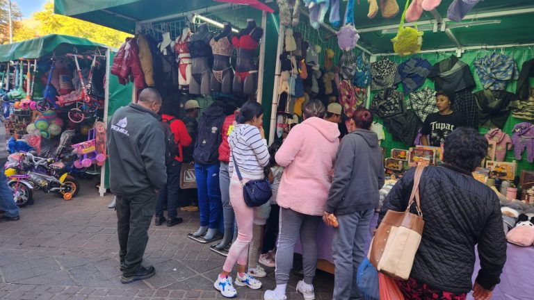 Locatarios sin ventas por aumento de ambulantaje