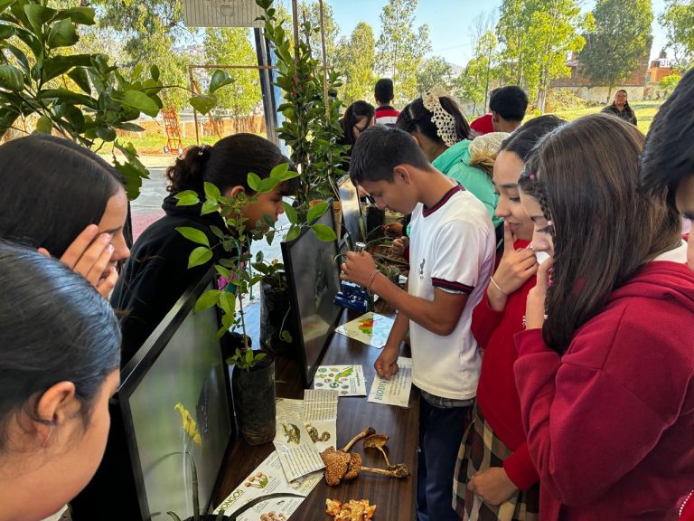 Fortalecen la cultura ambiental en escuelas de la capital