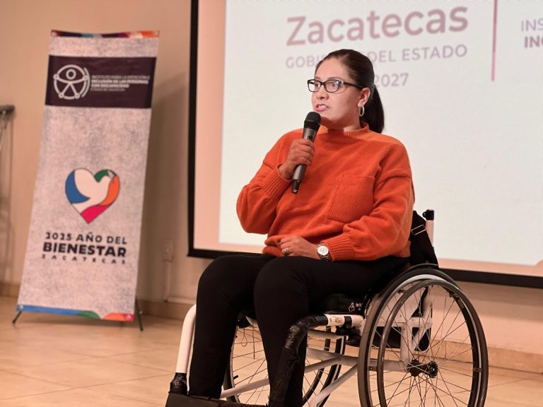 Alistan entrega de diagnóstico de accesibilidad