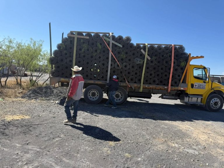 Ayudan a proteger cultivos de maíz de los jabalíes